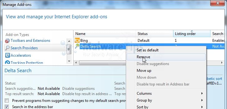 [Image: Delta Search Internet Explorer redirect virus removal]