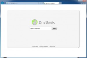 [Image: DnsBasic virus]