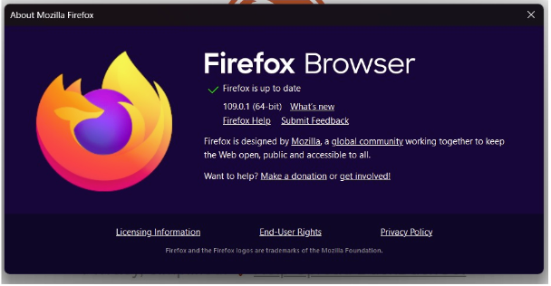 Firefox will block DLL Injections - gHacks Tech News
