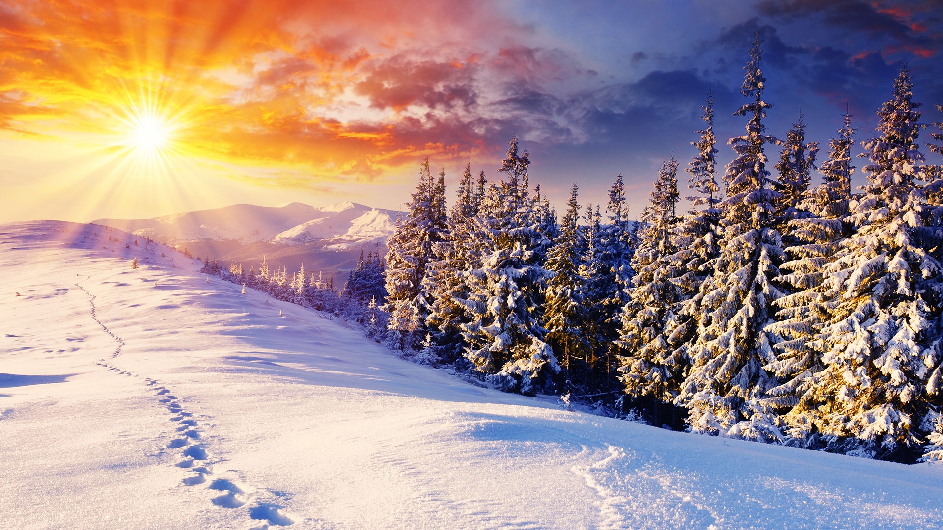 398689-best-winter-wallpapers-1920x1080-high-resolution.jpg