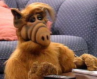 Alf.png