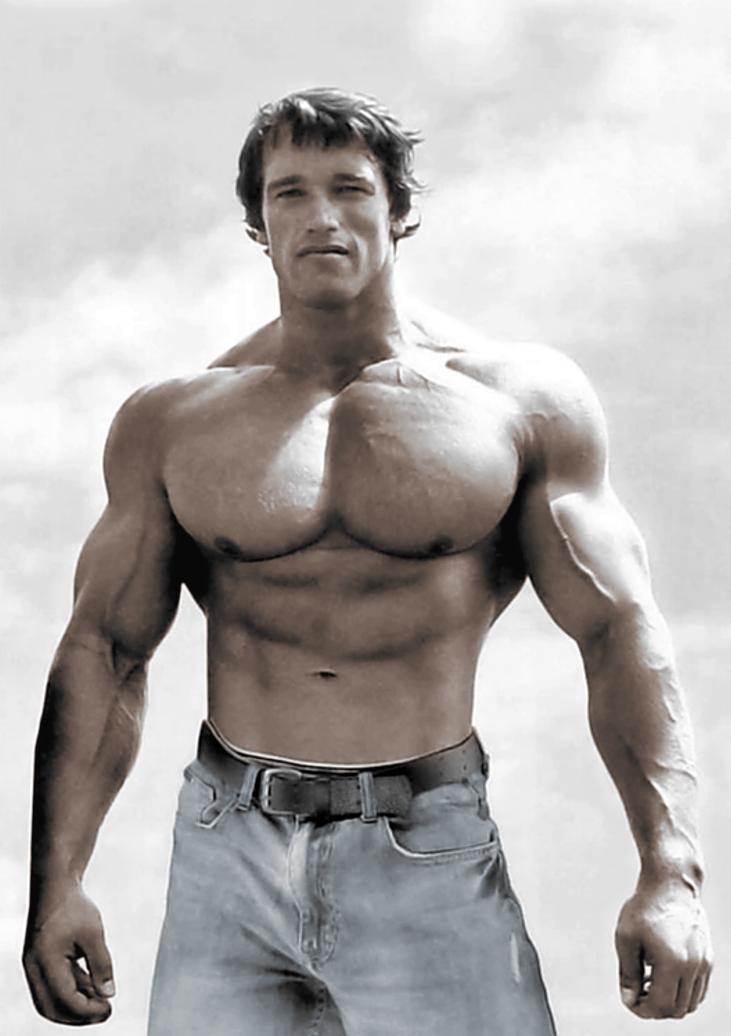Arnold Restoration Final.jpg