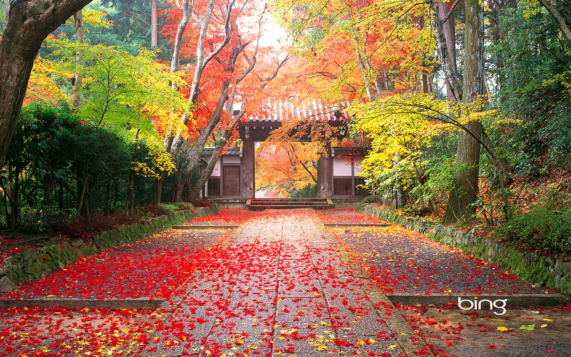 autumn_in_japan.jpg