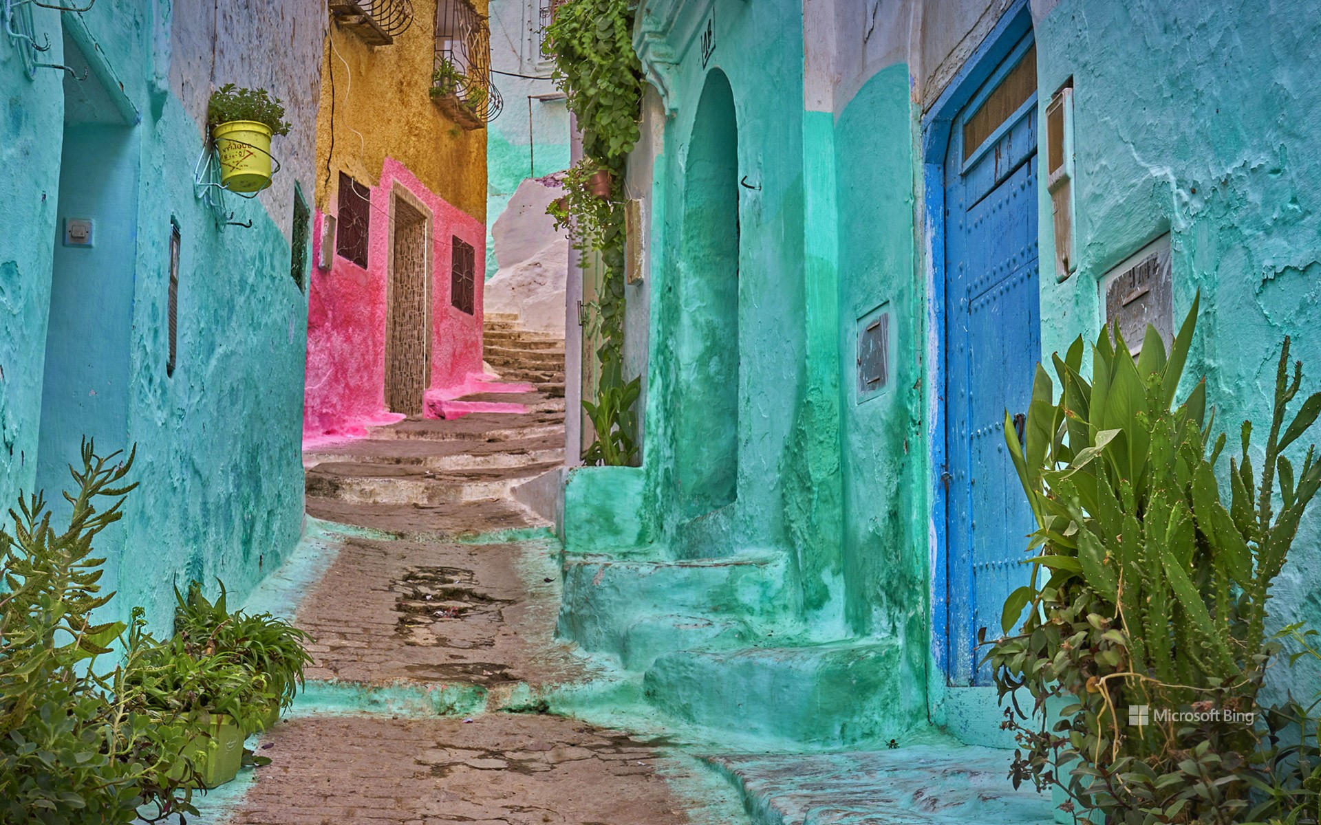 BingWallpaper Colourful alleyway in the medina of Tétouan, Morocco.jpg
