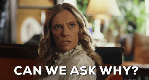 can-we-ask-why-ylpc7osxb3xiblol.gif