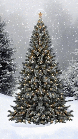 Christmas tree animated 272x484.gif