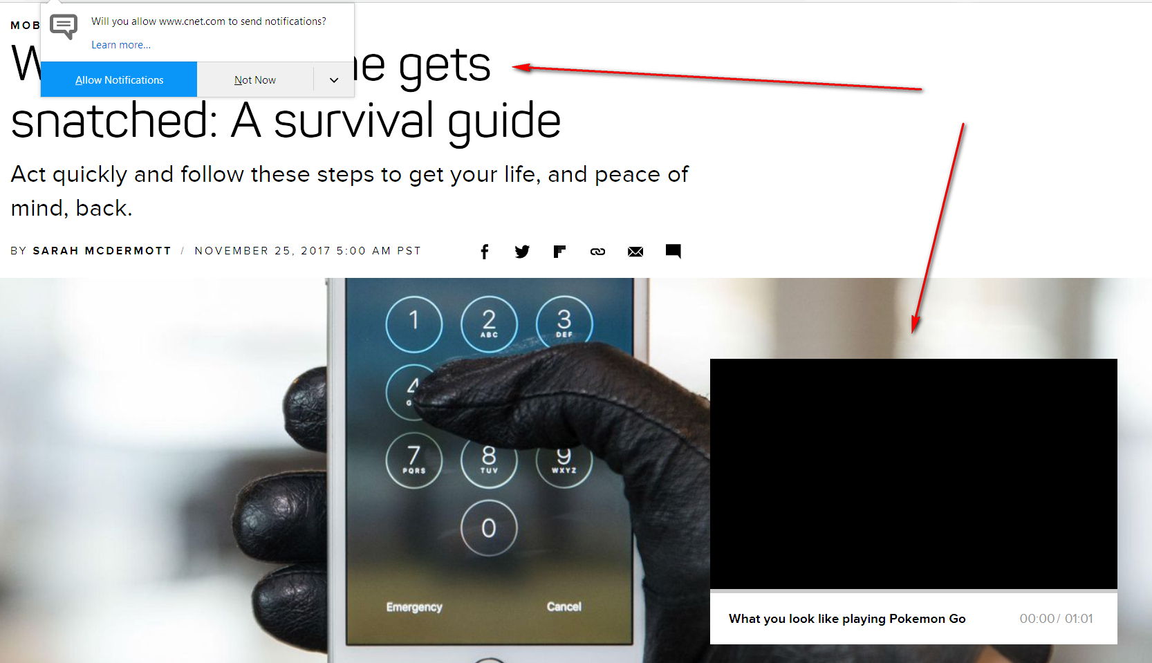 cnet-1.png