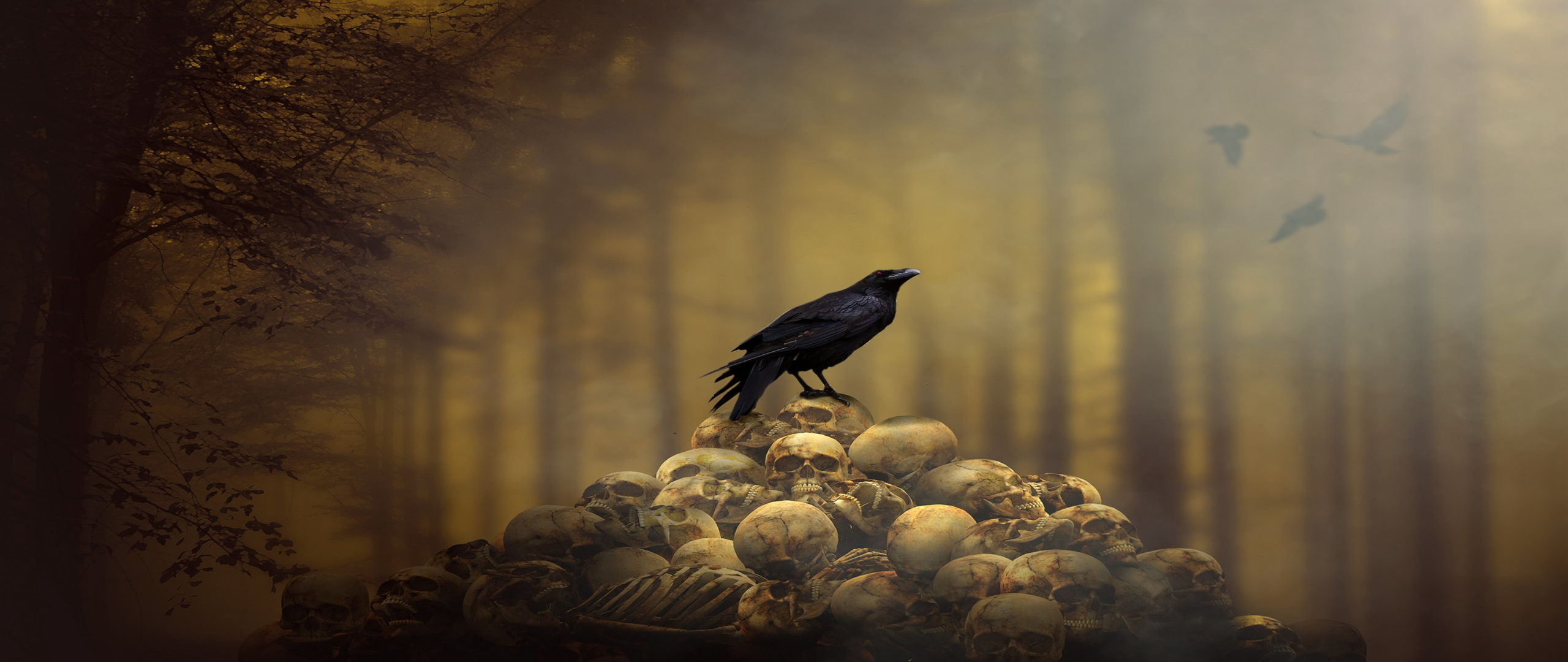 Crow-skulls_2560x16001.png