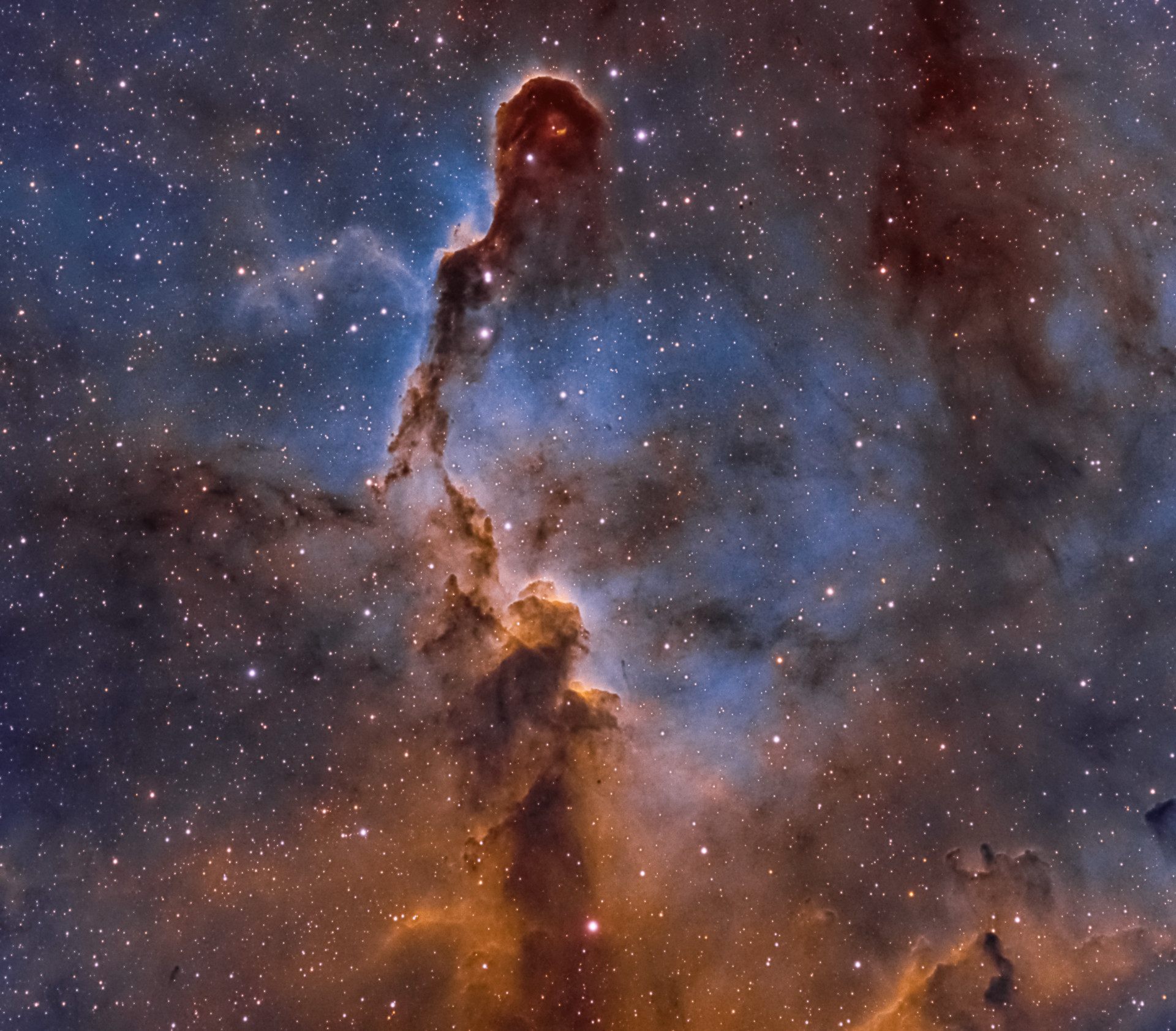 Elephant Trunk Nebula.jpg
