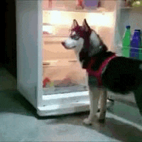 hot-day.gif