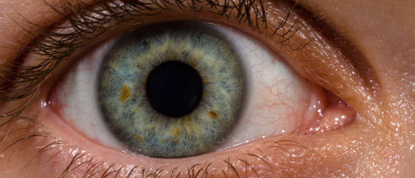 Human_eye_with_blood_vessels-1400x600.jpg