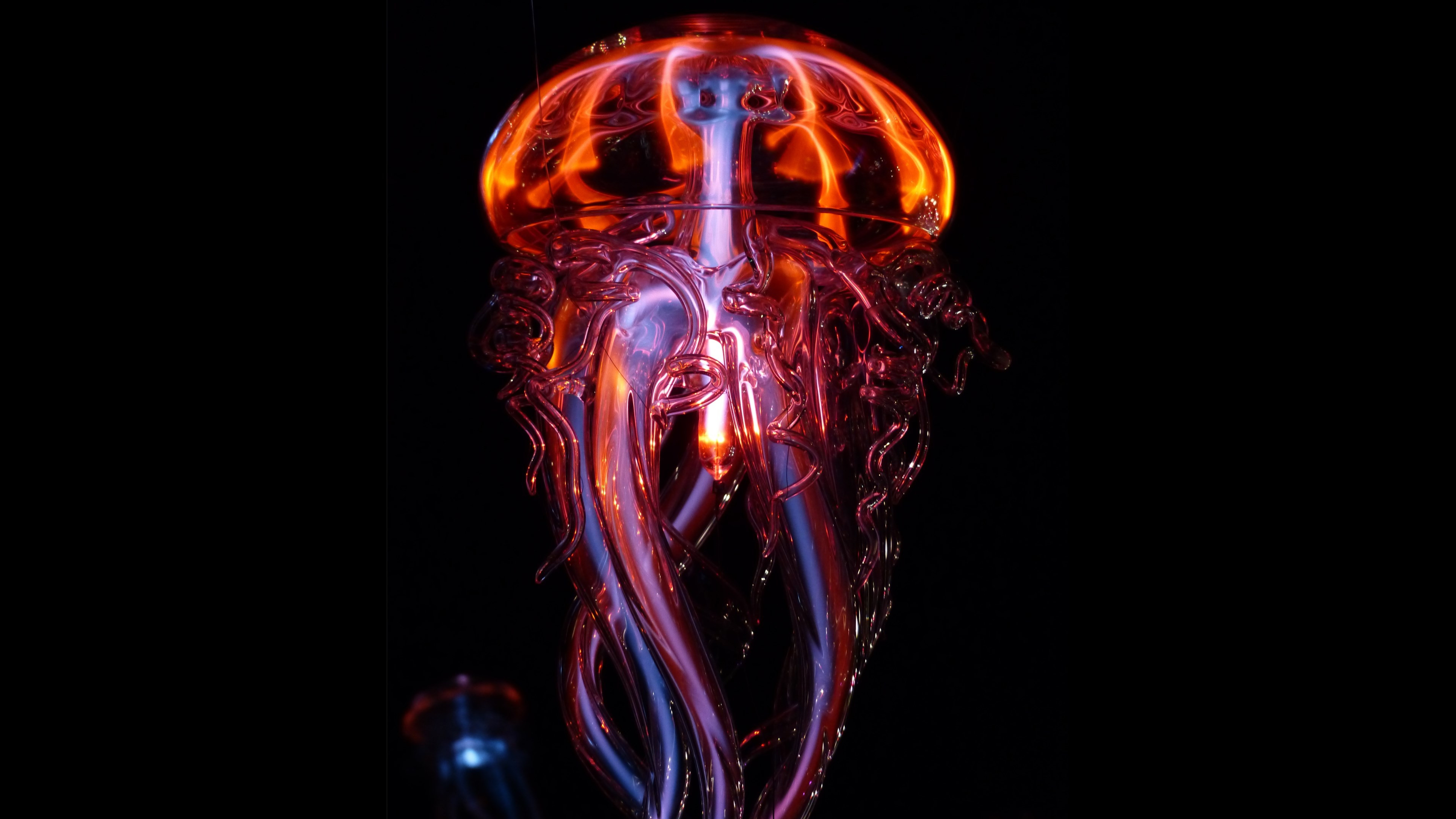 luminous-jellyfish-3840x2160_79576-mm-90.jpg
