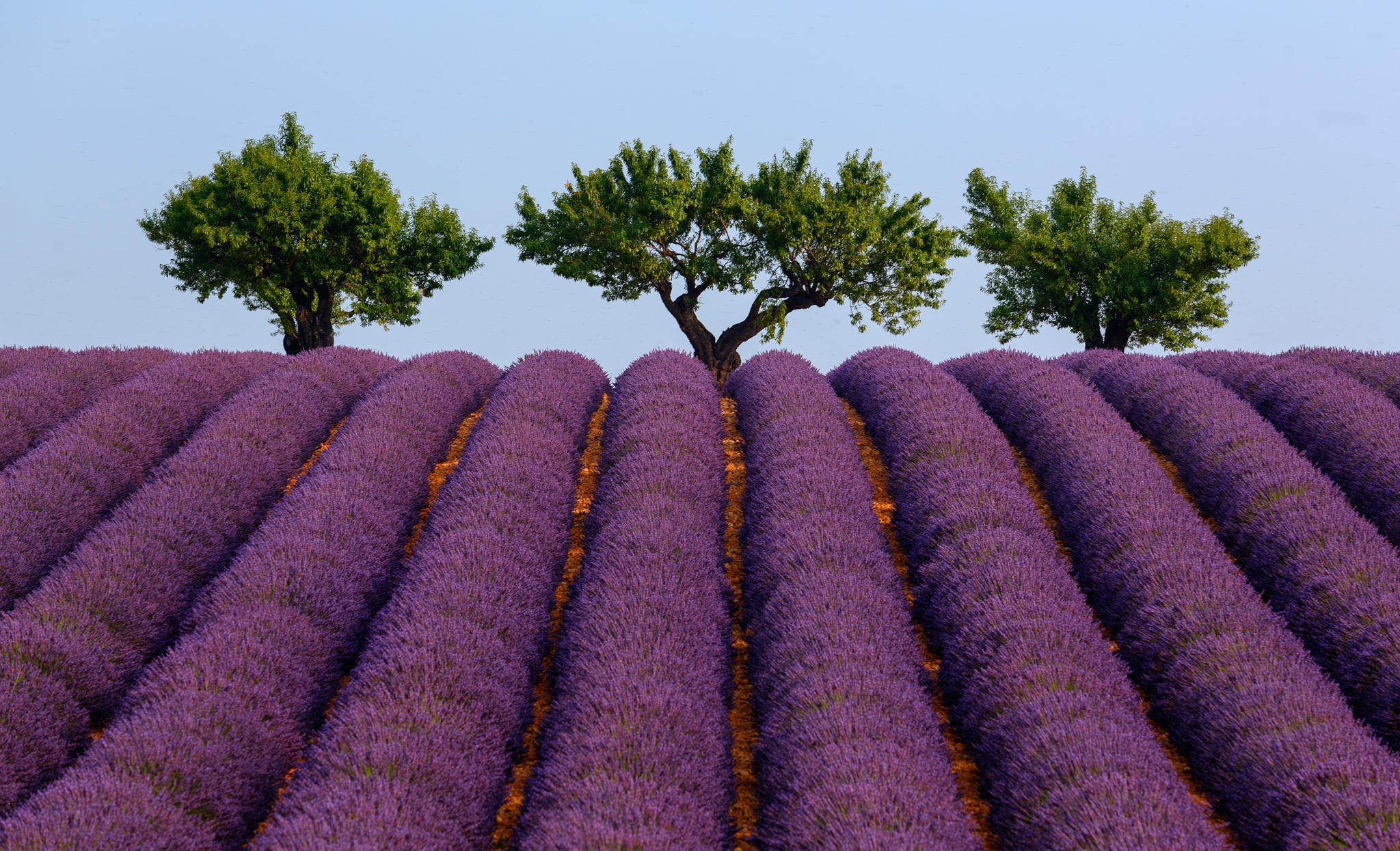 Provence, France.jpg