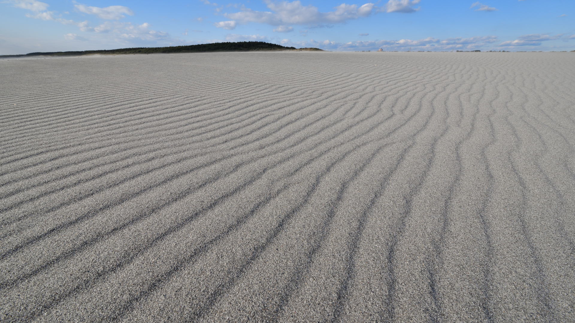 shizuoka-Sand_Dunes_at_Nakatajima-m.jpg