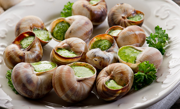 snails-as-sustainable-food-in-article-1.jpg