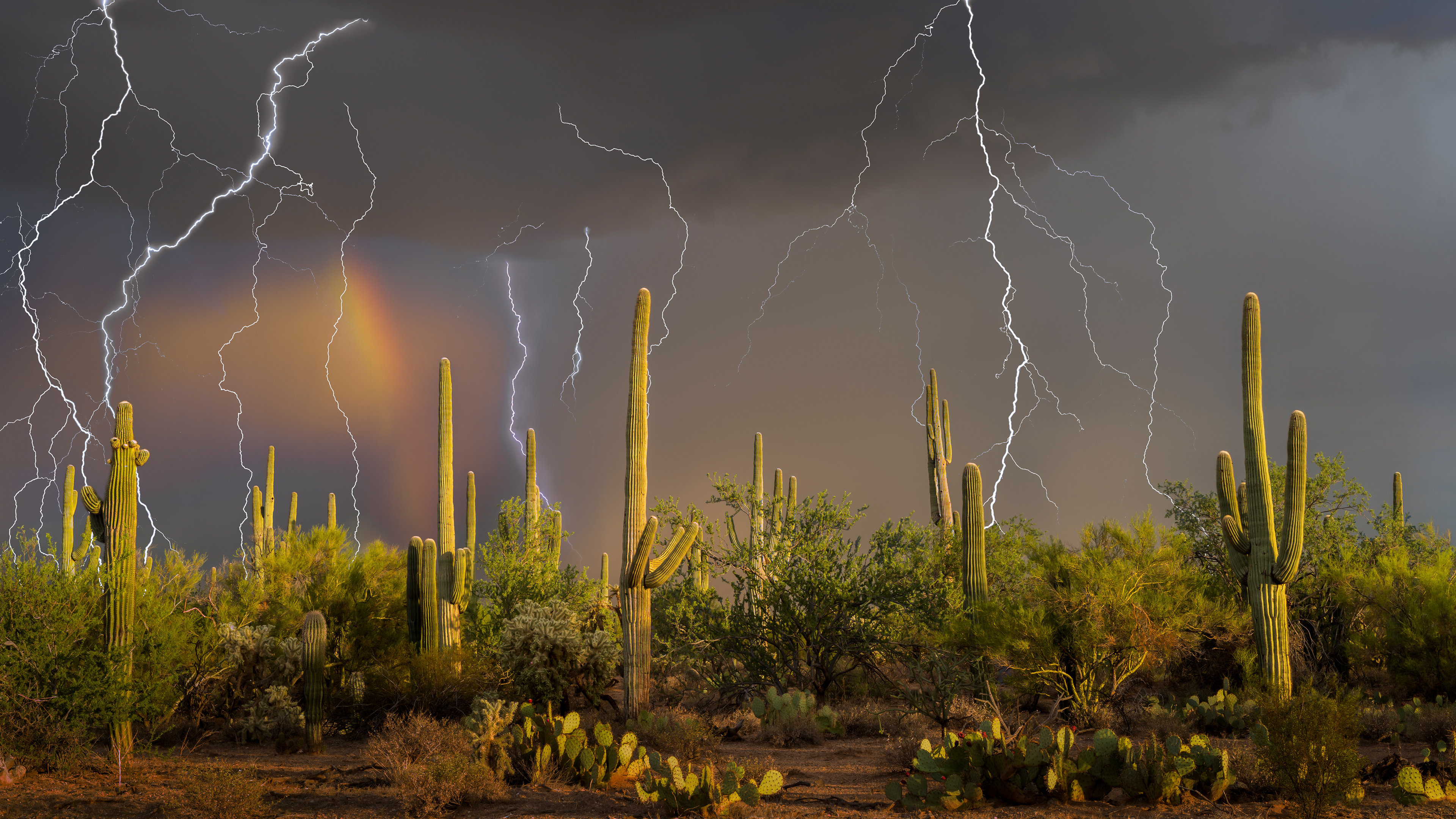 SonoranStorm_ROW5466478182_UHD.jpg