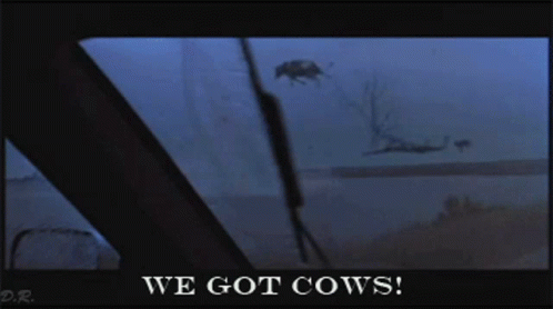 we-got-cows-twister.gif