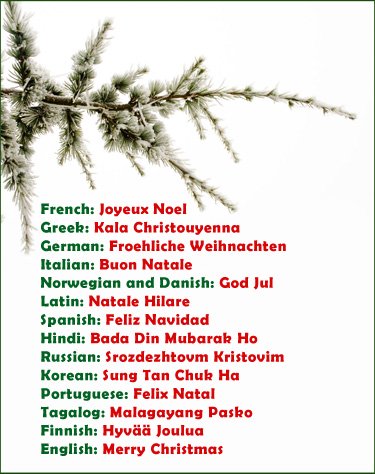 xmerry-christmas-15-languages-375px.jpg.pagespeed.ic.EU5DiaYNZd.jpg