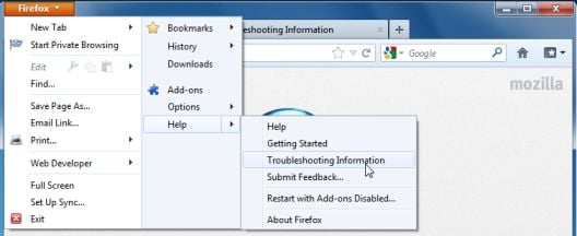 Firefox Troubleshooting Information