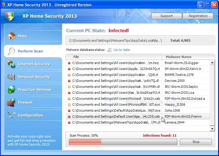 [Image: XP Home Security 2013 virus]