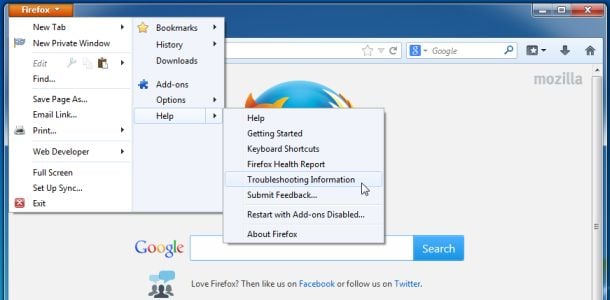 [Image: Firefox Troubleshooting Information]