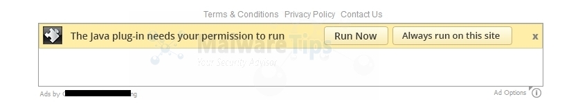 [Image: The Java plug-in needs your permission to run virus]