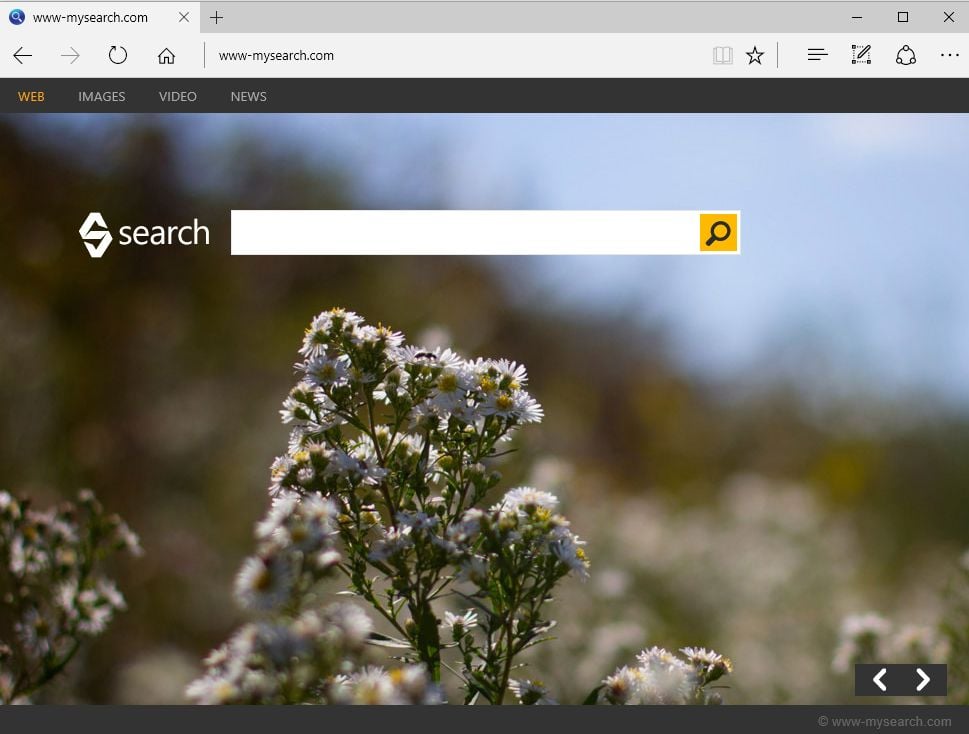 Bing Search Virus