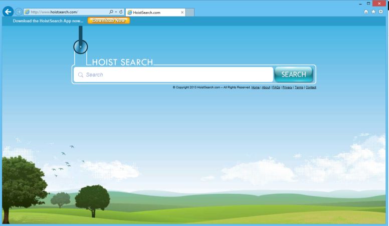Hoist Search virus