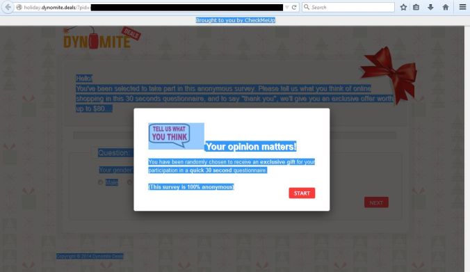 Holiday.dynomite.deals virus