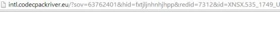 Intl.codecpackriver.eu virus