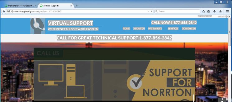 Virtual-support.org virus