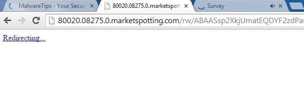 80020.08275.0.marketspotting.com virus