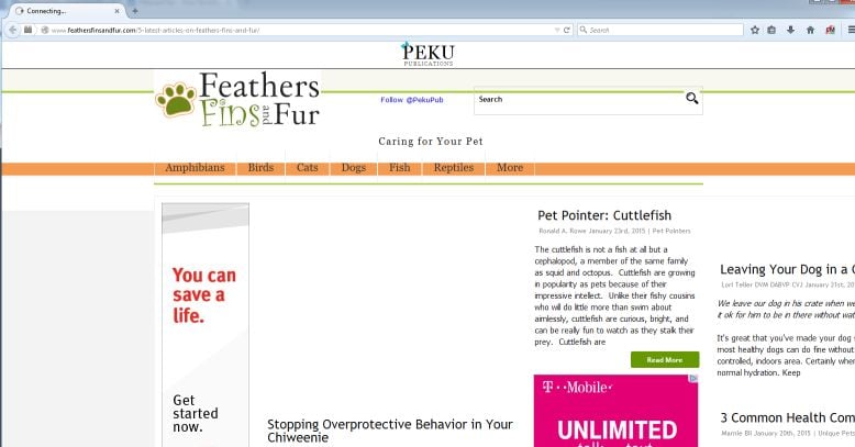 Feathersfinsandfur.com virus
