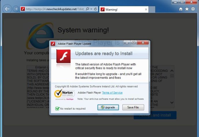 testpc24.newcheck4updates.net virus