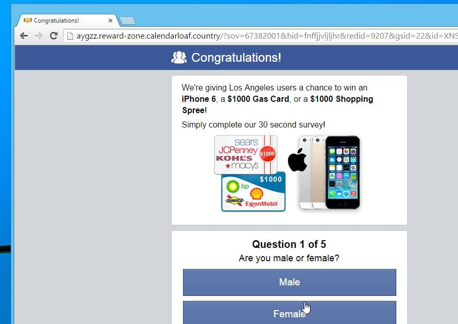 calendarloaf.country virus