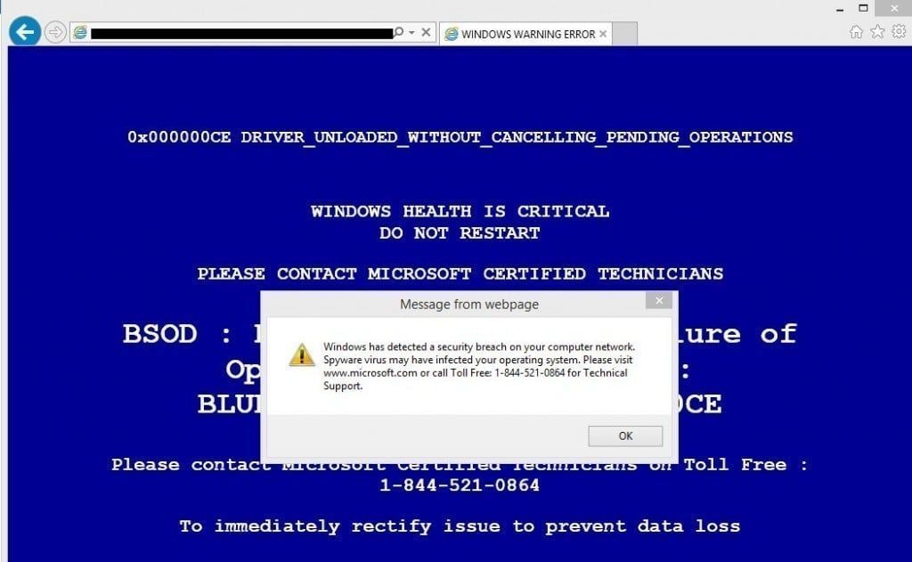 Microsoft Network of Computers — usuwanie programów szpiegujących