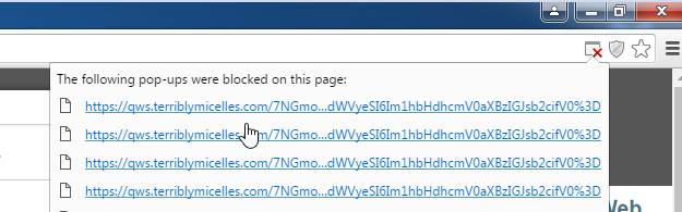 qws.terriblymicelles.com Ads