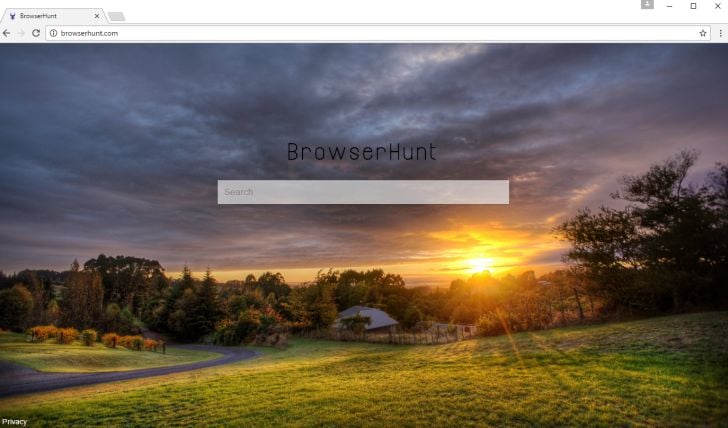 browserhunt.com homepage