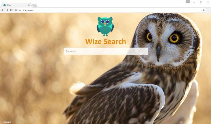 feed.wizesearch.com redirect