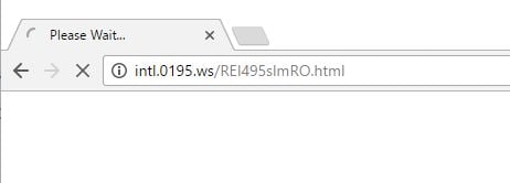 intl.0195.ws virus