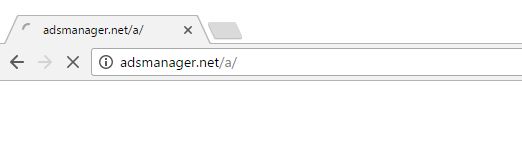 adsmanager.net/a/ virus