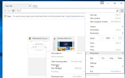 Google Chrome Extensions option