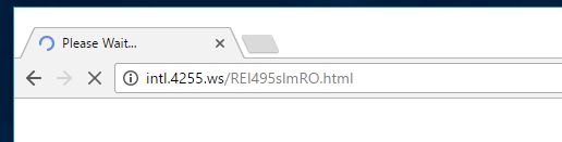 intl.4255.ws redirect intl.4255.ws virus