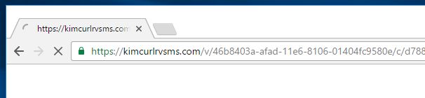 Kimcurlrvsms.com virus