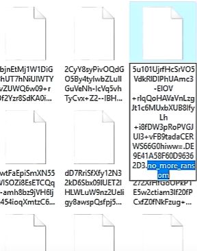 .no_more_ransom virus