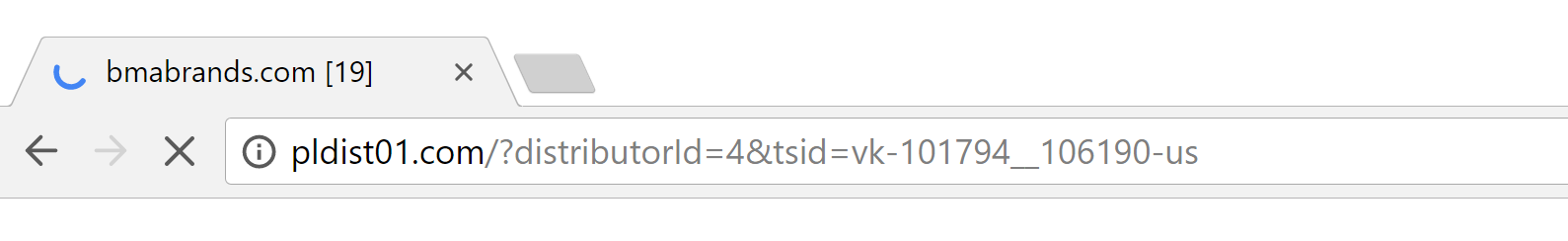 pldist01.com redirect virus