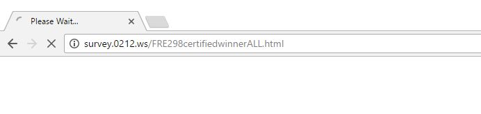 survey.0212.ws virus