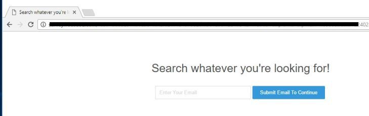 survey.7889231.com virus