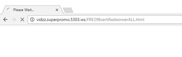 vidzz.superpromo.5303.ws virus