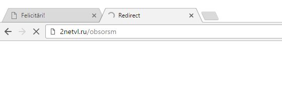 2netvl.ru/obsorsm virus